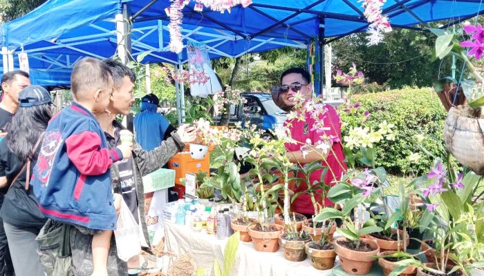 Anggrek Chandra Tampil Menawan di Car Free Day