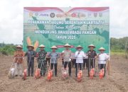 Sekda Pulpis Ikuti Penanaman Jagung Serentak Kuartal IV di Desa Buntoi