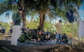Dorong Petani Cabai Terapkan PHT dalam Tangani Permasalahan OPT