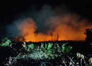 Kebakaran di Belakang Aqui Diduga Unsur Sengaja