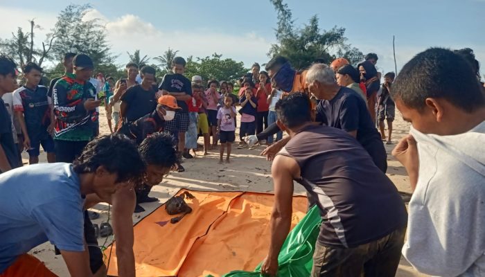 Semua ABK Datine 138 Sudah Ditemukan