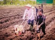 Pemko Soroti Potensi Pertanian Wilayah Rakumpit