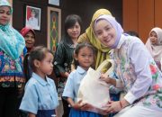 Sosialisasi