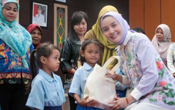 Sosialisasi