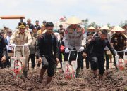Memperluas Lahan, Siapkan 136 Hektare Tanam Jagung