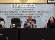 Anggaran Rp 80 Miliar Baru Terealisasi Rp 11 Miliar Pokja REDD+ Kalteng 