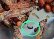 Ada Ulat Dalam Satu Ompreng MBG di MTsN 1