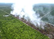 Kotim Darurat Karhutla, Ada Dugaan Kesengajaan Membakar Lahan