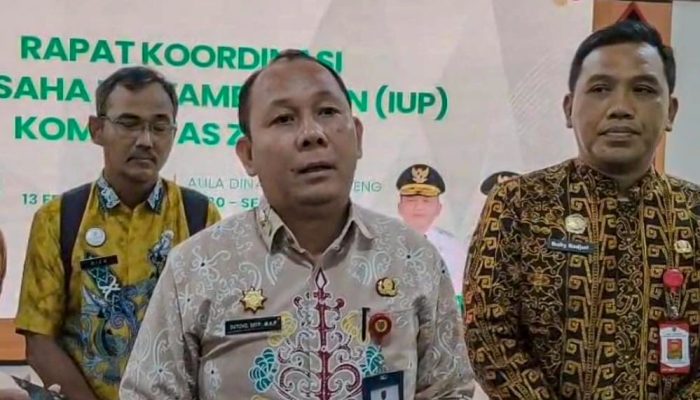 Tata Ulang Izin Zirkon, 14 RKAB Dicabut