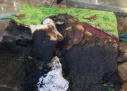 Panik, Kasur Tiba-tiba Terbakar, Rumah Warga Nyaris Berkobar