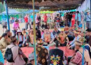 Tradisi Maonjuan Sorah Simbol Tradisi Warga Delang