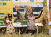 Memperkuat Mimpi Kalteng Jadi Lumbung Pangan