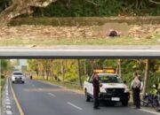 Pejalan Kaki Tewas di Adonis Samad, Warga Laporkan Dugaan Tabrak Lari