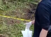 Jasad Tak Berkepala Ditemukan di Kereng Bangkirai, Identitasnya Hingga kini Masih Belum Dikenali