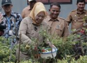 Tujuh Tahun Perjalanan Kampung Keluarga Berkualitas Mekar Sari, Desa Bumi Harjo Sukses Mengantarkan Juara