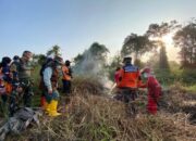 Bupati Nurhidayah Tinjau Lokasi Penanganan Karhutla