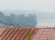 Titik Api Bermunculan, Kabut Asap Makin Tebal