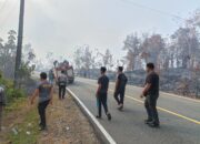 Karhutla Mengganas di Tewah, Tim Gabungan Berjibaku Jinakkan Api