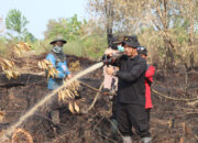 Polres Pulang Pisau Bergerak Cepat, Pimpin Pemadaman Titik Api dan Pembasahan Lahan di Tumbang Nusa