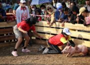 Memeriahkan HUT RI dan Menghidupkan Budaya, Dari Lomba Menangkap Anak Babi dengan Mata Tertutup
