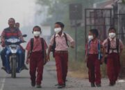 43 Kasus Karhutla, 35 Orang Jadi Tersangka