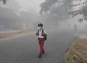 Asap Makin Pekat, 197 Sekolah di Kotim Belajar dari Rumah