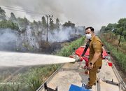 616,46 Hektare Lahan di Pulpis Terbakar