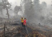 Pemadaman Karhutla 6 Hektare di Kurun Terkendala Minimnya Ketersediaan Air