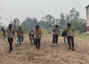 Dukung Swasembada Pangan, Polsek Sepang Tanam Jagung di 10 Hektare Lahan
