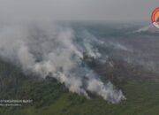 Karhutla Pangkalan Bun-Kolam Meluas, Api Dekati Habitat Satwa di Kawasan HKm Masoraian