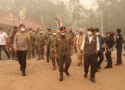 Karhutla Belum Reda, BNPB dan Menhut Berkantor di Kalteng