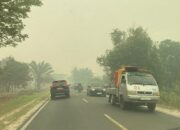 Purdiono Sentil Pusat: Masyarakat Kalteng Disebut Normal, Padahal Menjerit