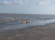 Nelayan Seruyan Temukan Mayat Berpelampung Terdampar di Pantai