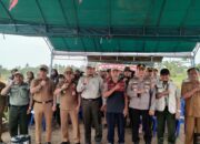 Padi Sistem Demplot di Tamban Catur Mulai Panen