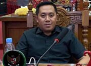Dewan Desak Usut Penyebab Karhutla