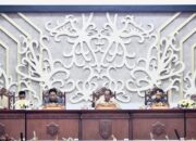 Wapres Dijadwalkan Kunjungi Kalteng Besok, Edy Pratowo: Terkait Pengawasan Karhutla