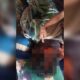 Diduga Dendam Pribadi, Pria di Tumbang Tuan Bacok Ipar Hingga Tewas