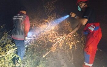 Pohon Tumbang dan Karhutla di Tumbang Nusa Langsung Ditangani Tim Gabungan