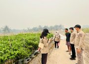 Ketua Tim Monev Inflasi Inspektorat Kobar
