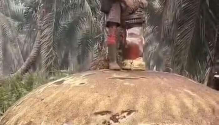 Teka-Teki Puing Pertama Belum Terungkap, Benda Antariksa Kembali Ditemukan di Kotim